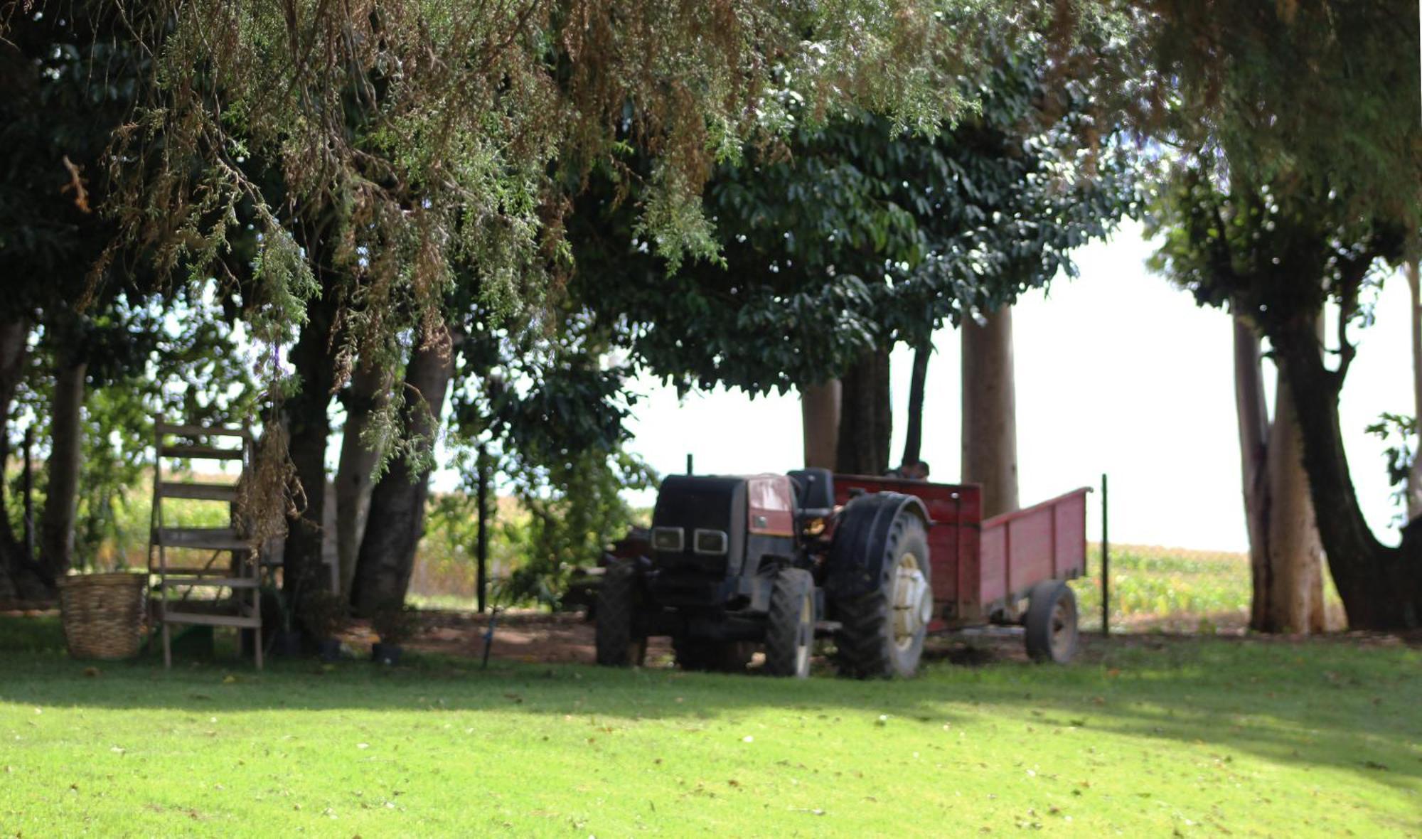 Limoeiro Da Concordia Hotel Fazenda De Charme Cabreúva Dış mekan fotoğraf