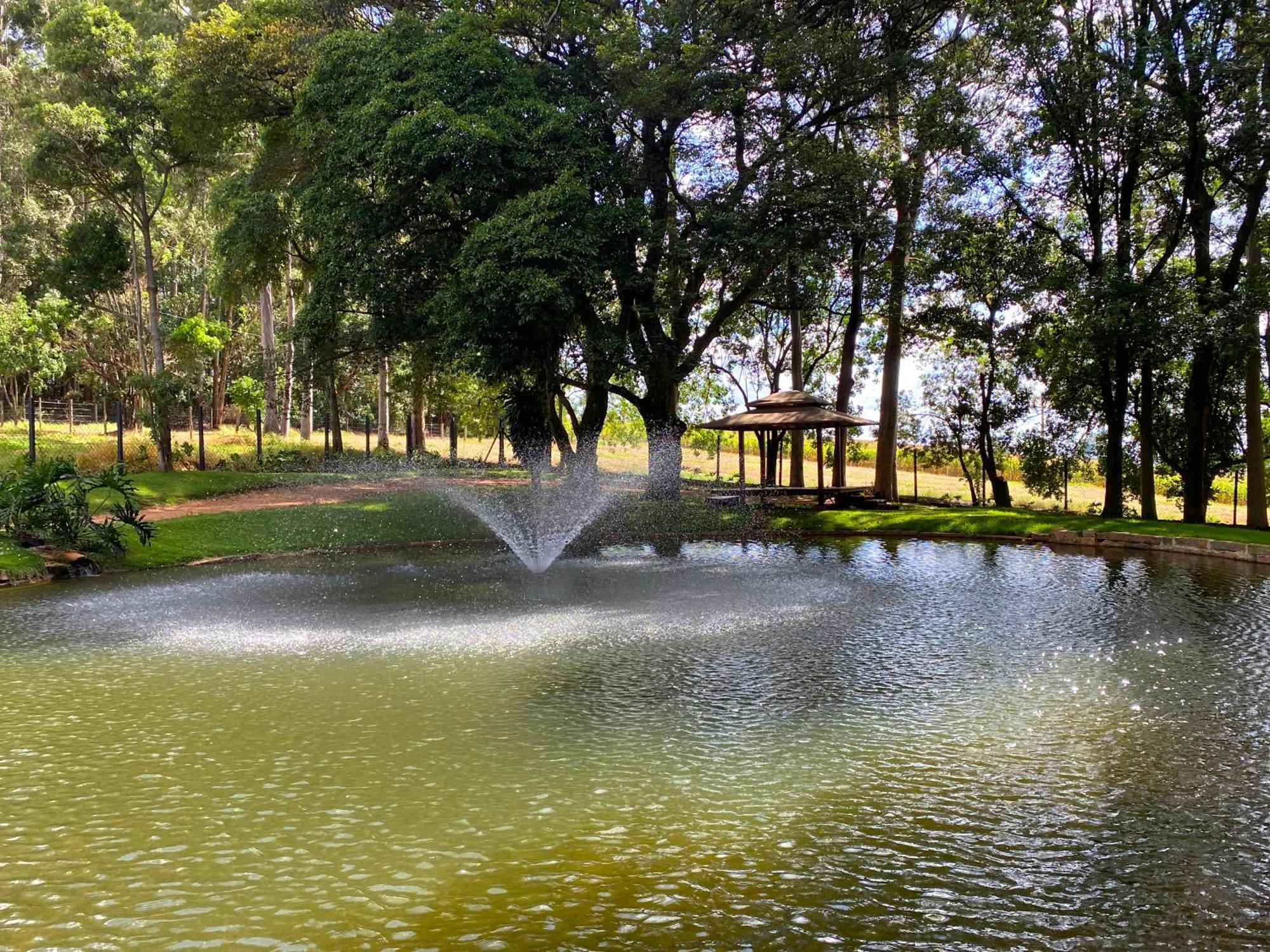 Limoeiro Da Concordia Hotel Fazenda De Charme Cabreúva Dış mekan fotoğraf