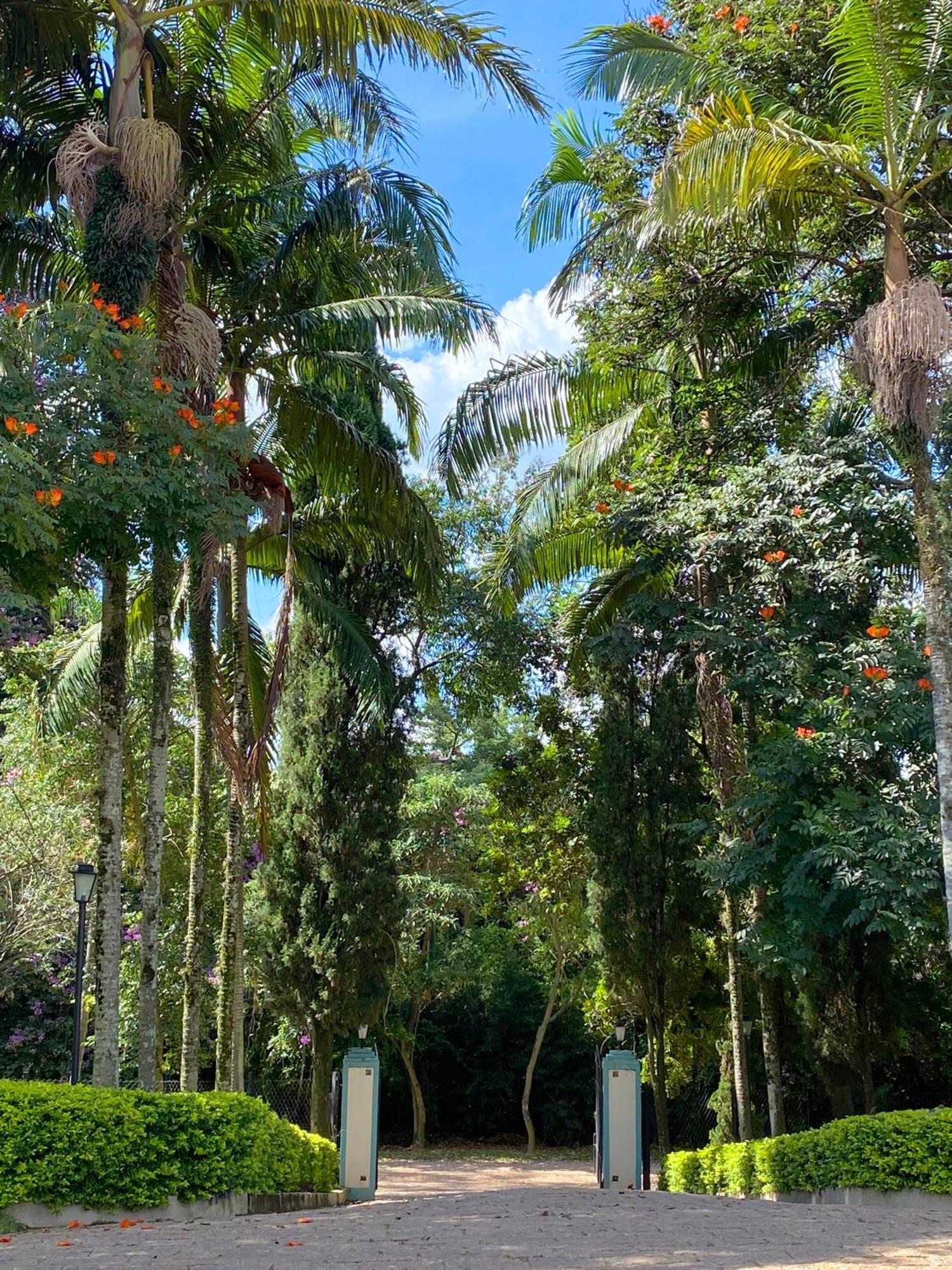 Limoeiro Da Concordia Hotel Fazenda De Charme Cabreúva Dış mekan fotoğraf